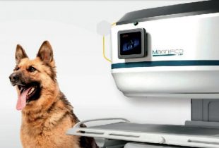 À SERVIÇO DA EVOLUÇÃO DO MERCADO VETERINÁRIO EM RESSONÂNCIA MAGNÉTICA